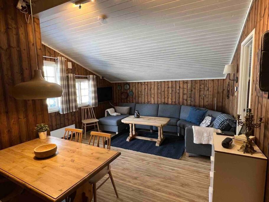 Koselig Med Uteplas Ved Hallingdalselva Ferienhaus Ål