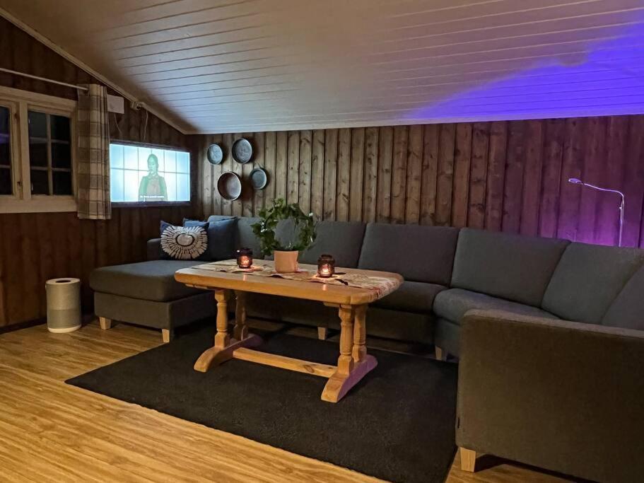 Koselig Med Uteplas Ved Hallingdalselva * Ål