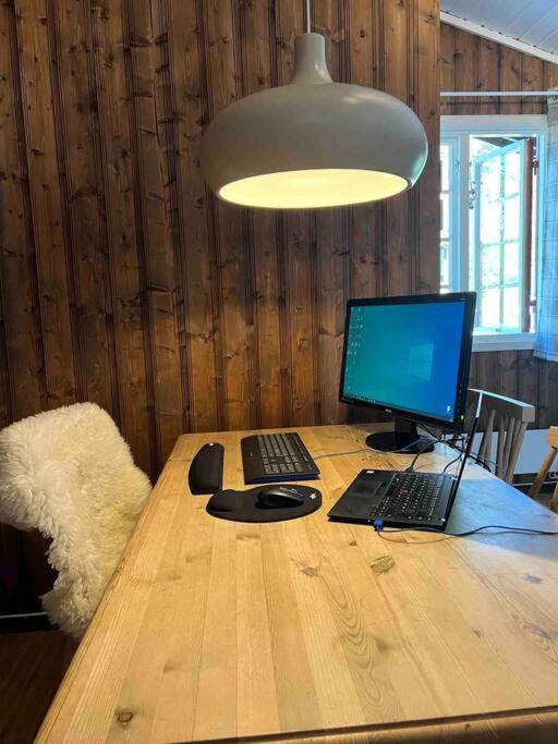 Hébergement de vacances Koselig Med Uteplas Ved Hallingdalselva