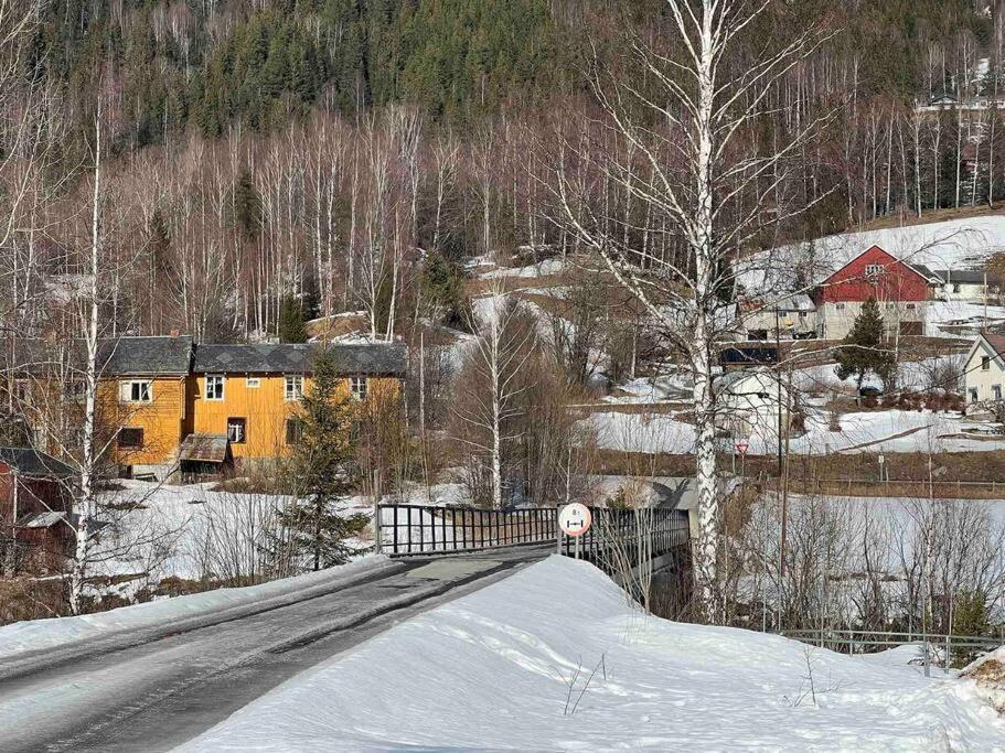 Koselig Med Uteplas Ved Hallingdalselva *